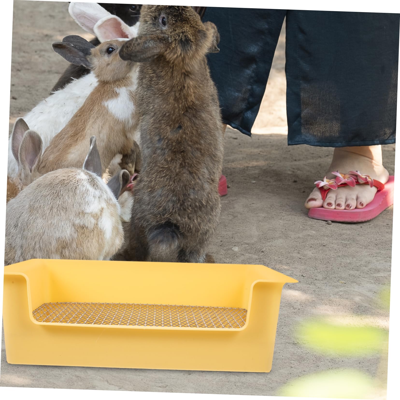 Toilette per Coniglio Grande, Lettiera Rettangolare Gialla | Plastica e Metallo, Portatile Mini, Spazio Ampio, per Cavie e Piccoli Conigli