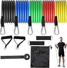 ODDISH; way to fitnes 11-in-1 Resistance Band Set for Workout & Fitness | Exercise Tubes with Handles, Door Anchor, Ankle Straps & Carry Bag | Full Body Training Kit for Home, Gym & Travel (11 IN ONE)