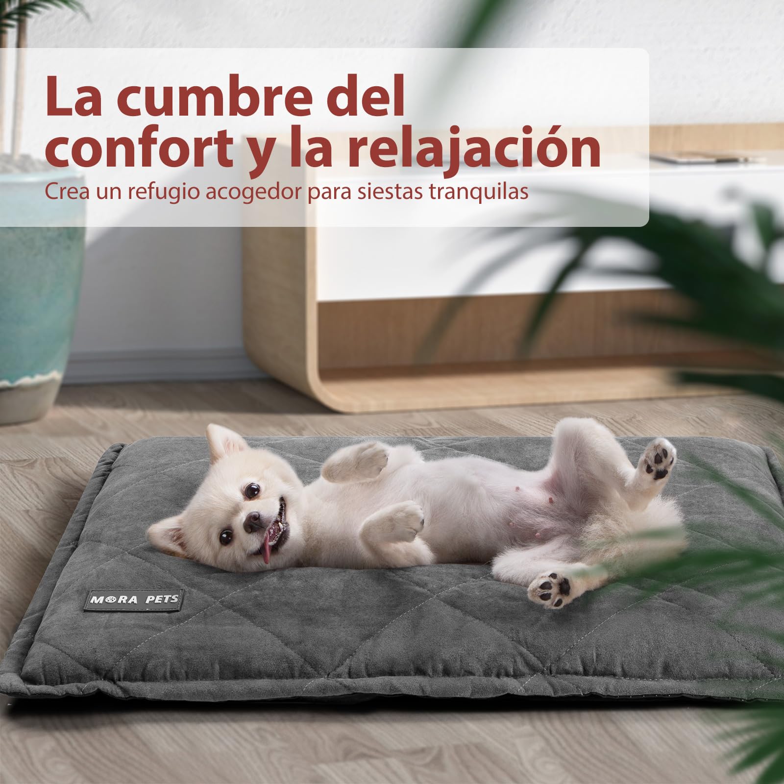 Mora Pets Manta autocalentado Gato Cama térmica sin Electricidad y baterías cojín de Calor Innovador e ecológico Manta termica 76 x 52 CM