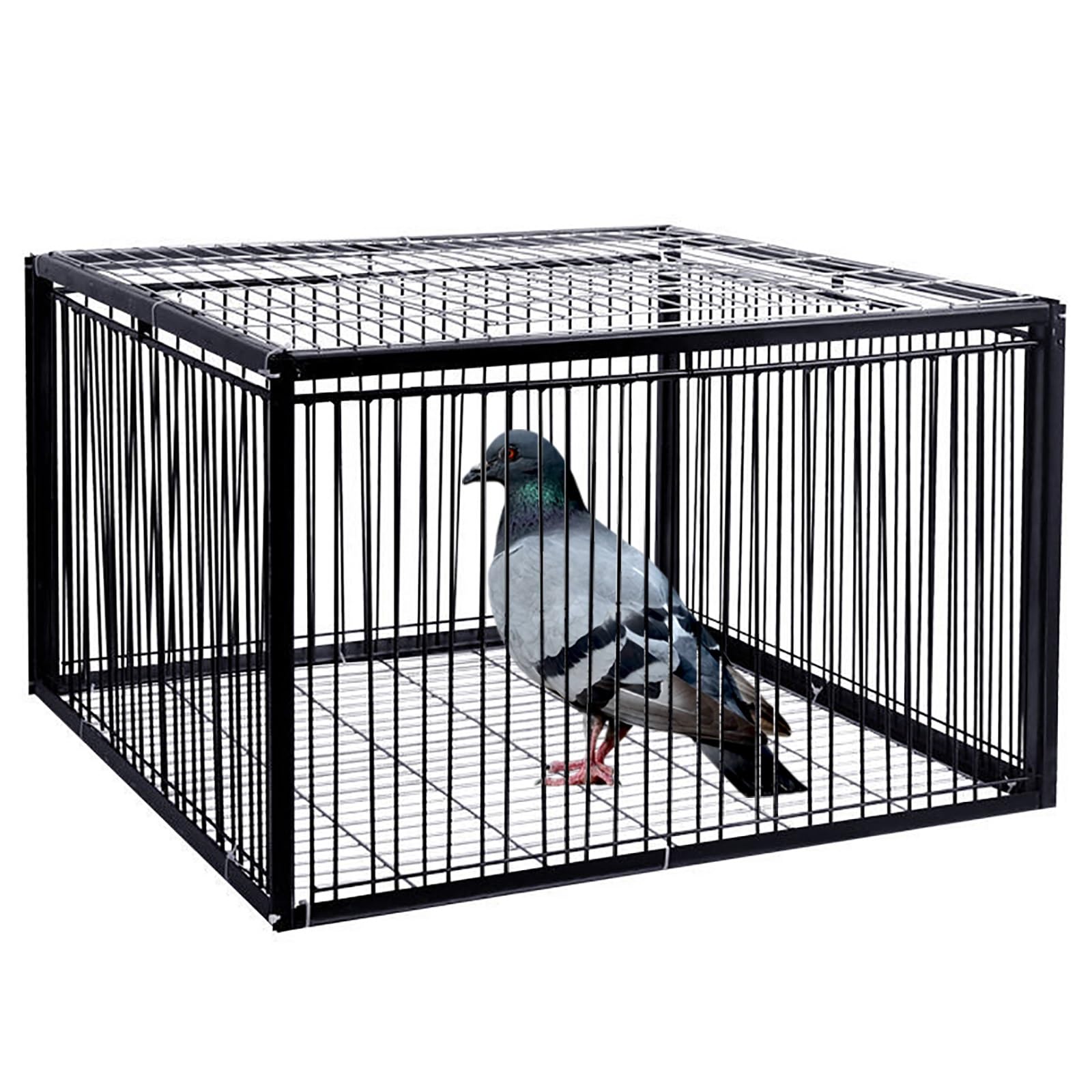 MAAOBR Trampa para Palomas con Diseño A Prueba De Escape, Jaulas Humanas para Animales Vivos, Jaula para Palomas con Entrada Unidireccional, Jaula para Trampa para Pollos Y Pájaros, Fácil Montaje (Si