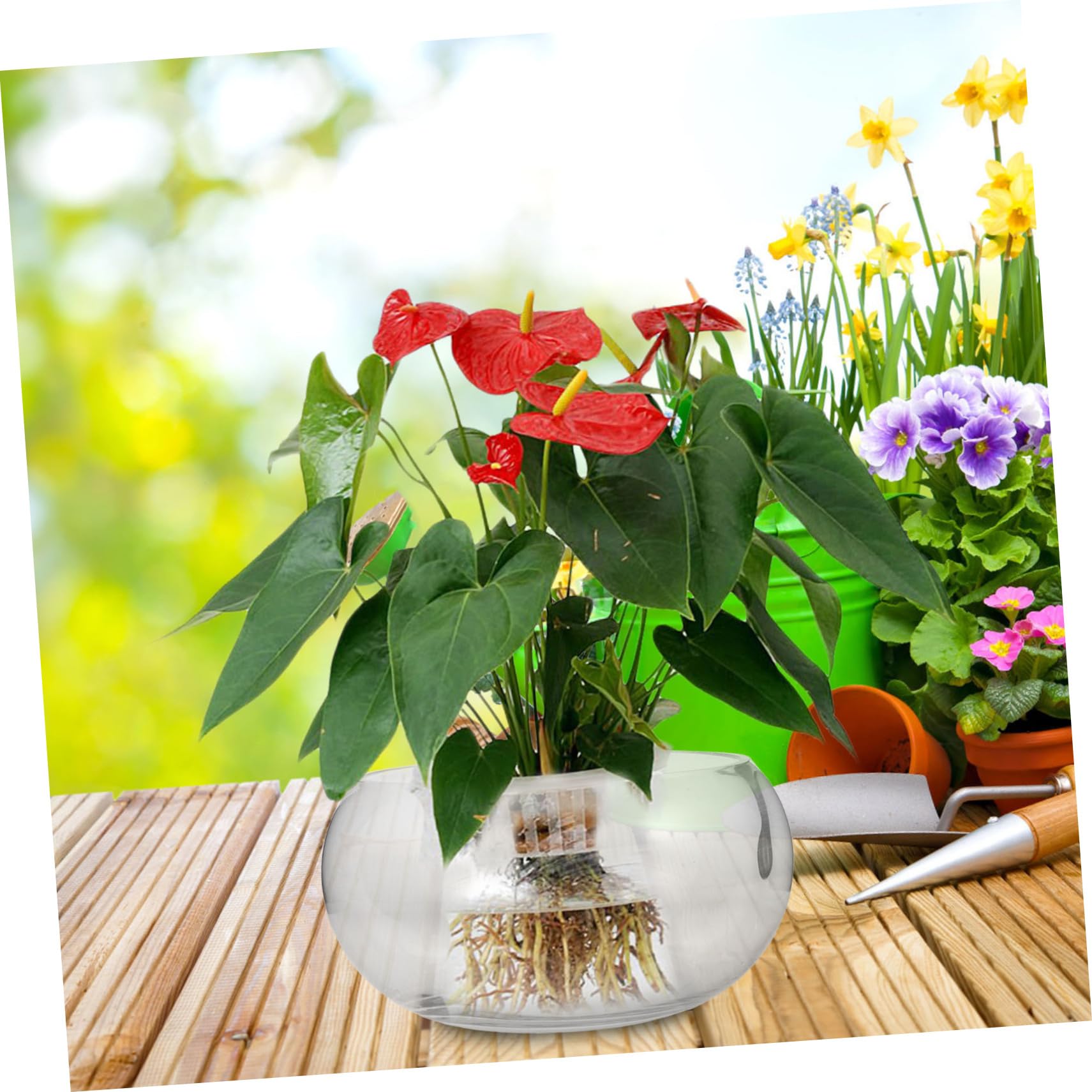 Szklany Wazon Na Sukulenty I Kwiaty Lotosu Przezroczysty Pojemnik Hydroponiczny Miska Na Ryby Szklany Zbiornik Na Akwarium Szklana Donica Bonsai Rośliny Doniczkowe