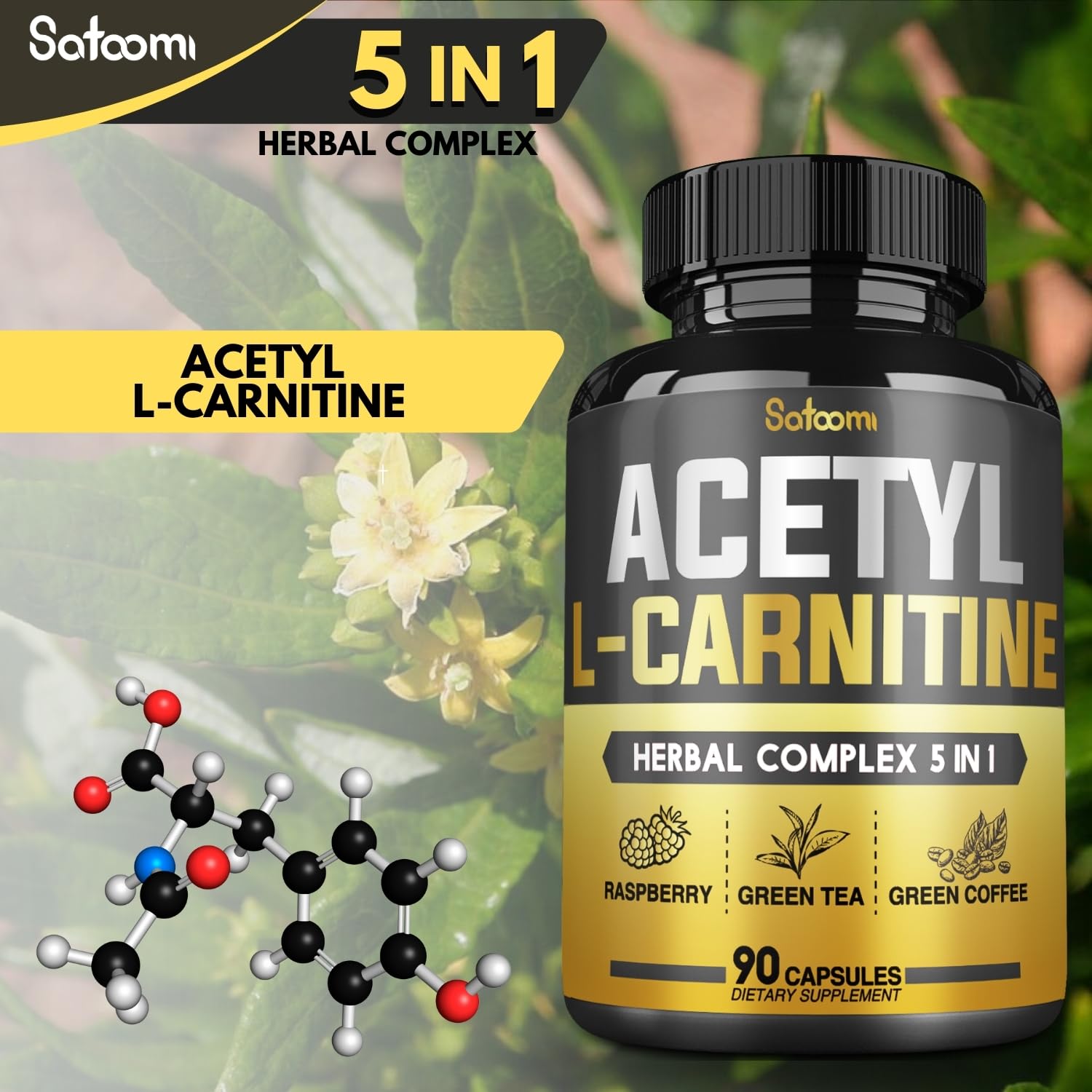 5in1 Acetyl L Carnitine Complex Capsules 2600mg Daily Body Brain |  Desertcart Brunei