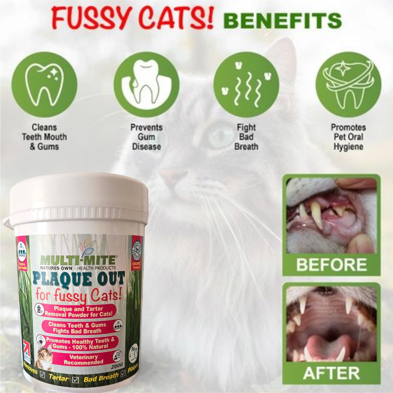 PLAQUE OUT for Fussy Cats 200g Pot, Plaque Off Remover, 100% Natural and Organic Seaweed Powder for Cats, Cat Teeth Cleaning - Image 4