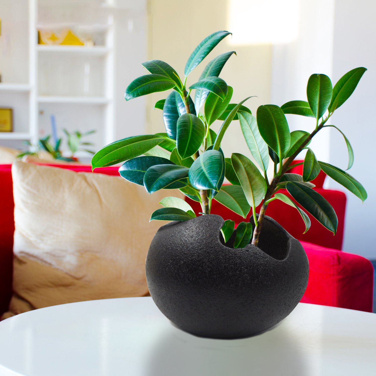 Amazon | TOSSOW 植木鉢 陶器鉢 卵形 多肉植物 サボテン鉢 ハーブ