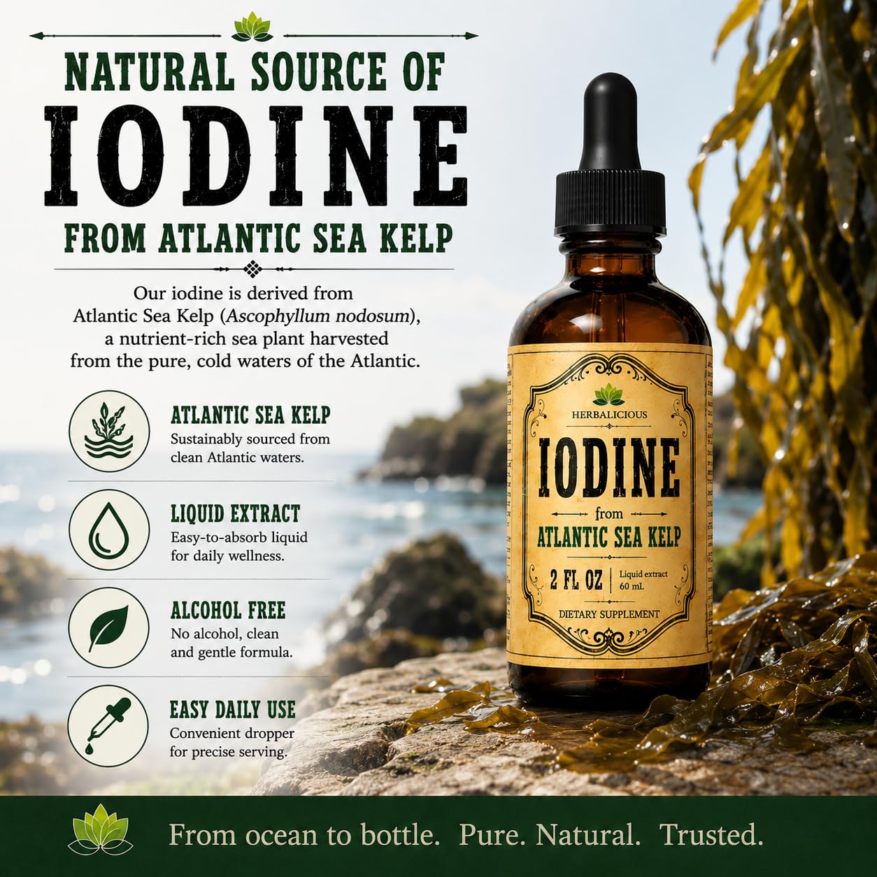 HERBALICIOUS Iodine Drops – Natural Iodine Liquid from Sea Kelp – Thyroid Supplement for Energy, Digestion & Immune Support – Organic Non-GMO Formula – 2 fl oz — Amazon image 4