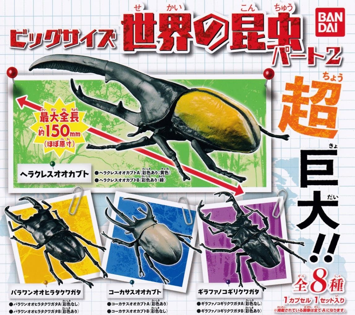 Amazon.co.jp: ビッグサイズ 世界の昆虫 パート 2 全8種 セット 