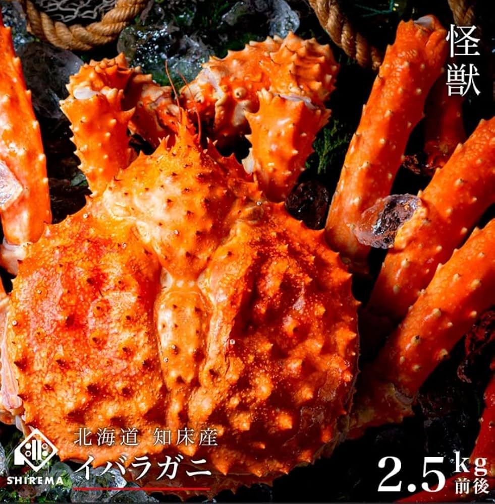 Amazon.co.jp: 【知床水産】イバラガニ 2.5kg前後／ かに 蟹