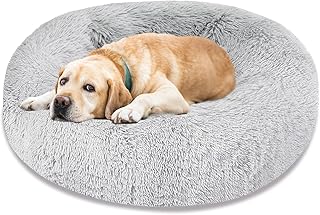 dog beds amazon canada