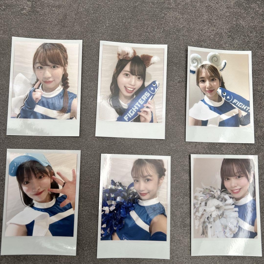 ファイターズガール チェキ 15枚セット ファイターズガール チェキ 15枚セット ファイターズガール