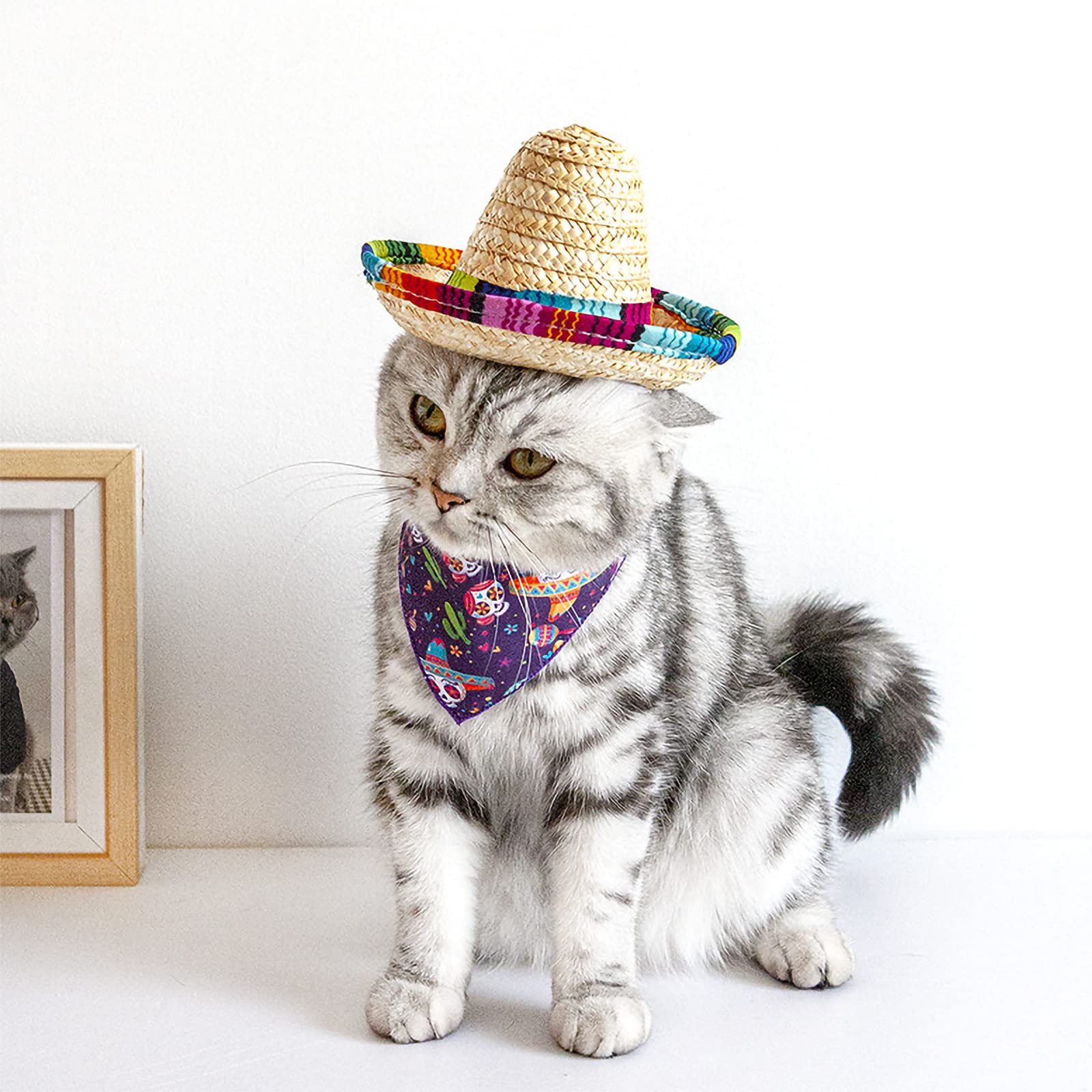 Hats For Cats Multicolor Pet Straw Hat Dog Cat Mexican Straw