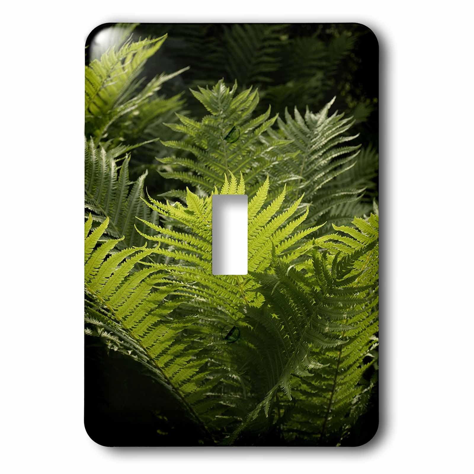 Ferns interrupteur à bascule simple pour rénover une chambre zen
