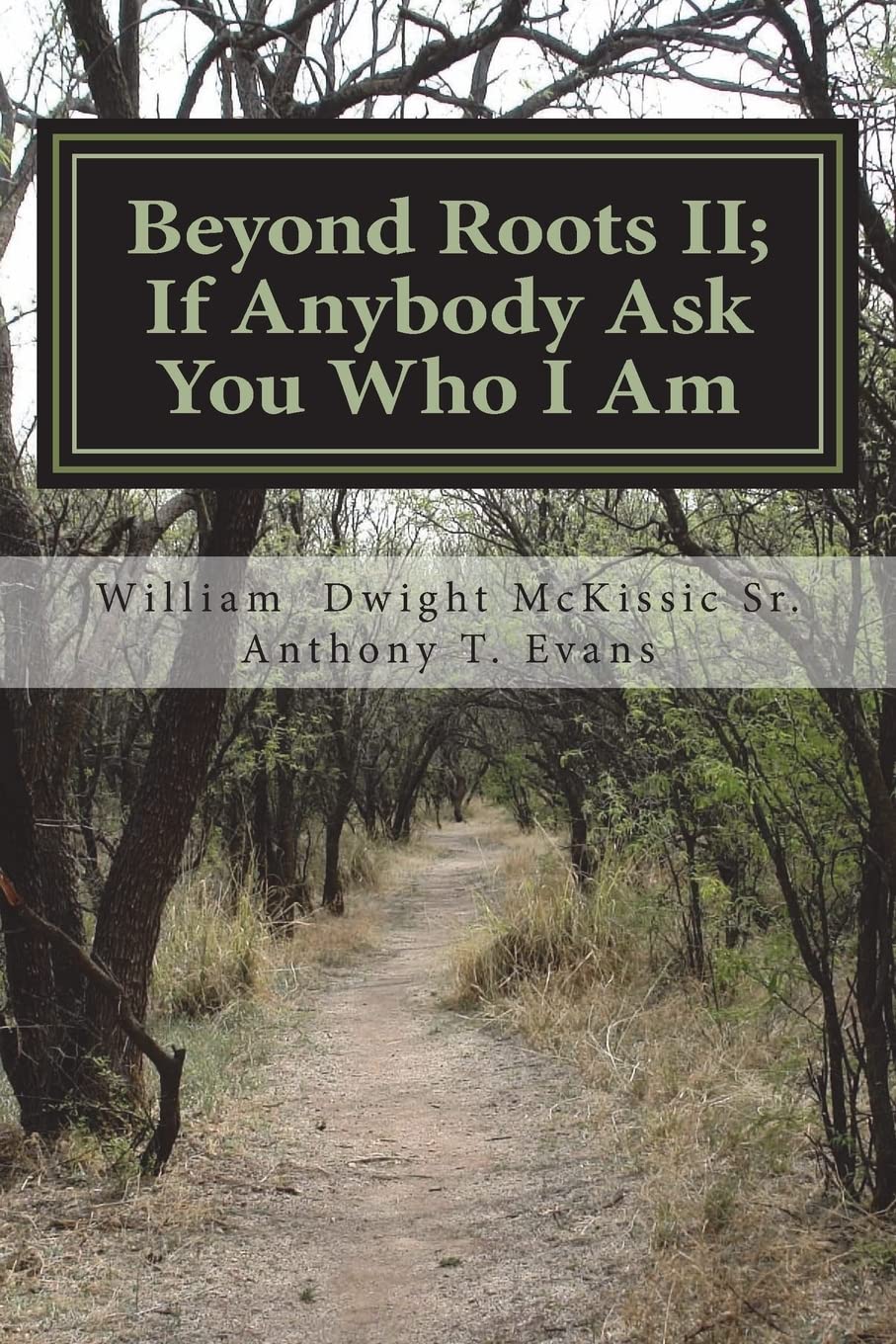 Beyond Roots II If Anybody Ask You Who I Am: A Deeper Look at Blacks in the Bible: Volume 2