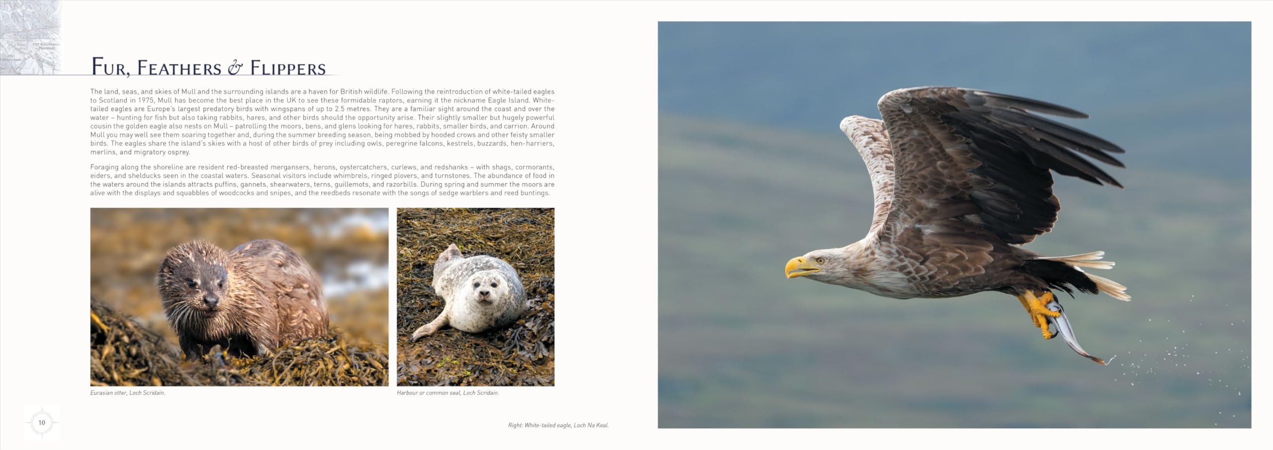 Mull & Iona