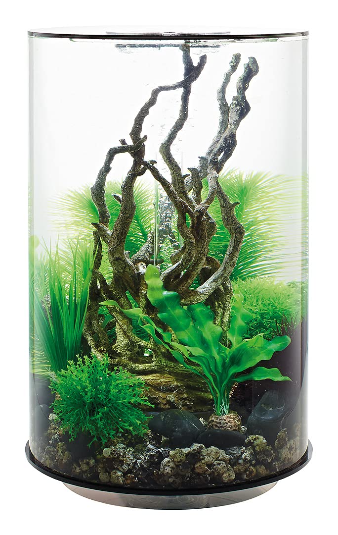 BiOrb Tube 30 MCR Design-Aquarium - Komplettset Mit LED Beleuchtung 360° Blick