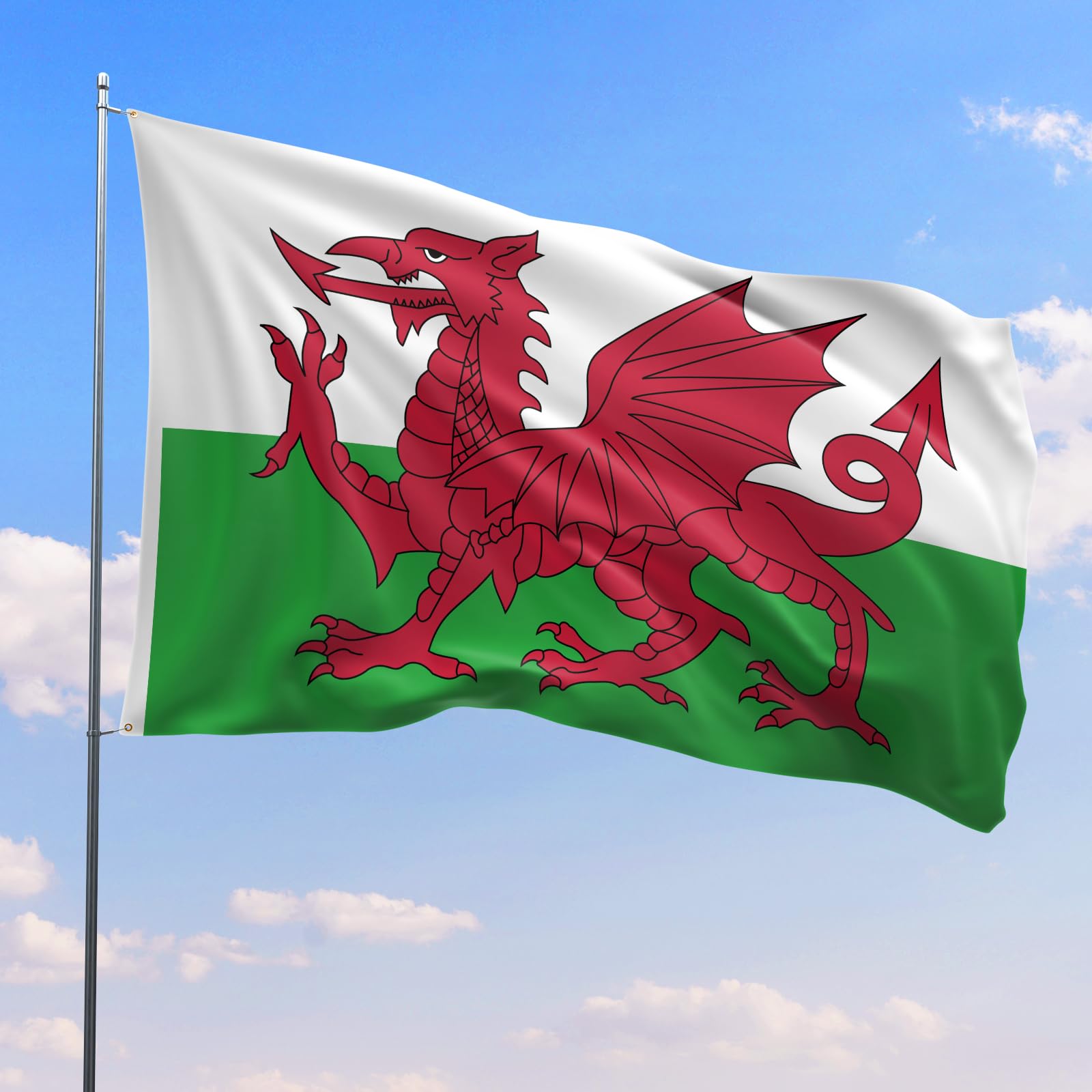 PartyYaa Welsh Flag, 5ft x 3ft Wales Dragon Flag for St.David's Day Decoration, Single Side with 2 Brass Eyelets, Waterproof - Image 4