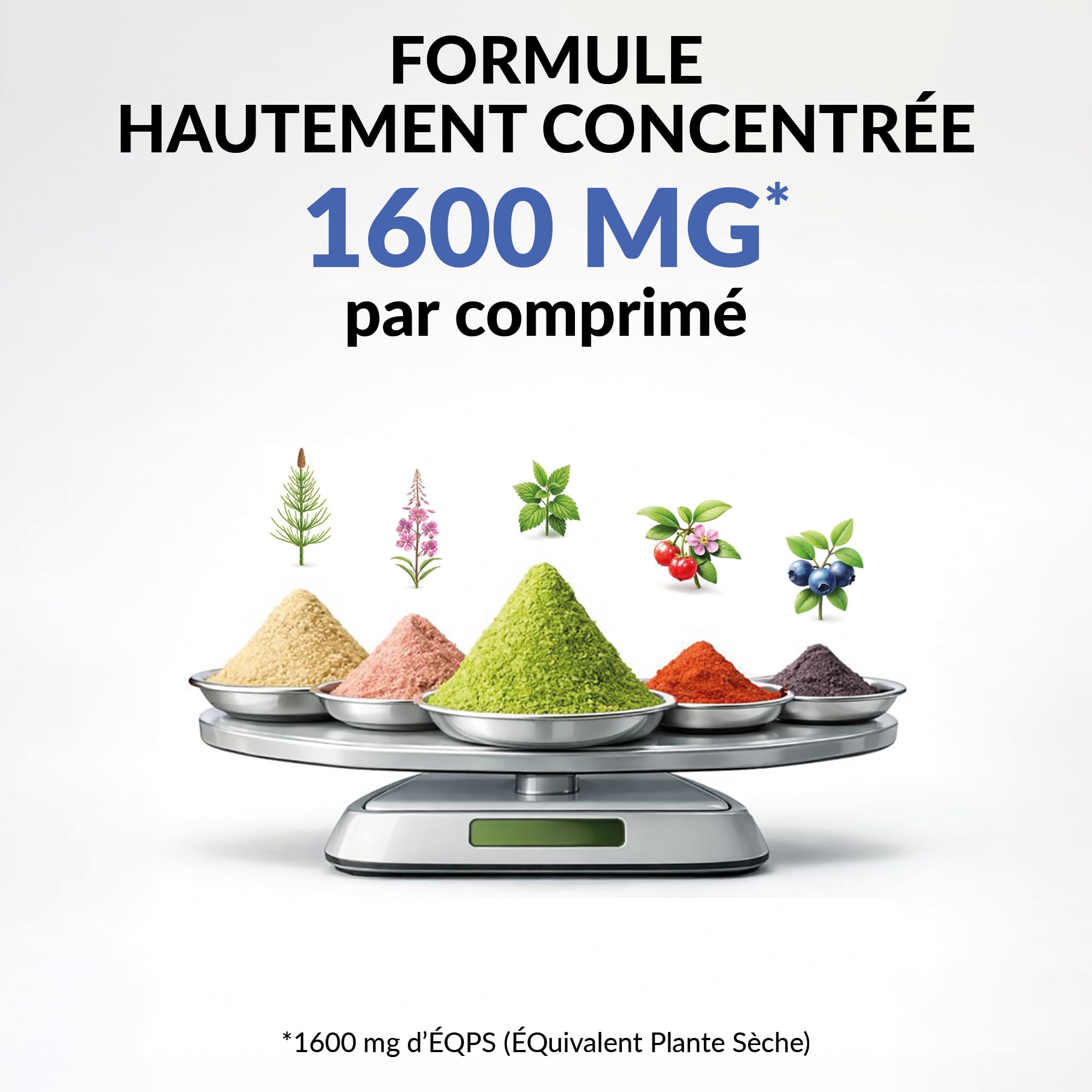 BIO 5 Chute des Cheveux – Anti-Chute Bio – 90 Comprimés (3 Mois) – Cheveux Fins & Clairsemés – Complément Alimentaire – Homme & Femme – Fabriqué en France