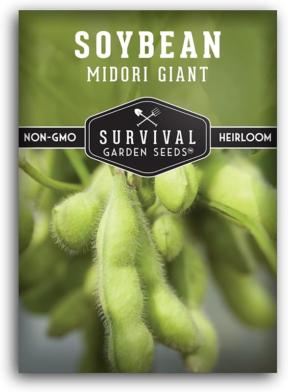 Midori Giant Edamame Seeds for Planting - Survival Garden Seeds (1 Pack) | Large Heirloom Soybean Variety with Tender Green Pods - Non-GMO Protein-Rich Vegetable