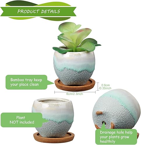 Miniatura 3 de 6 macetas de cerámica para suculentas con agujeros de drenaje, 6 bandejas de bambú, recipientes pequeños para plantas, regalo ideal para decorar el