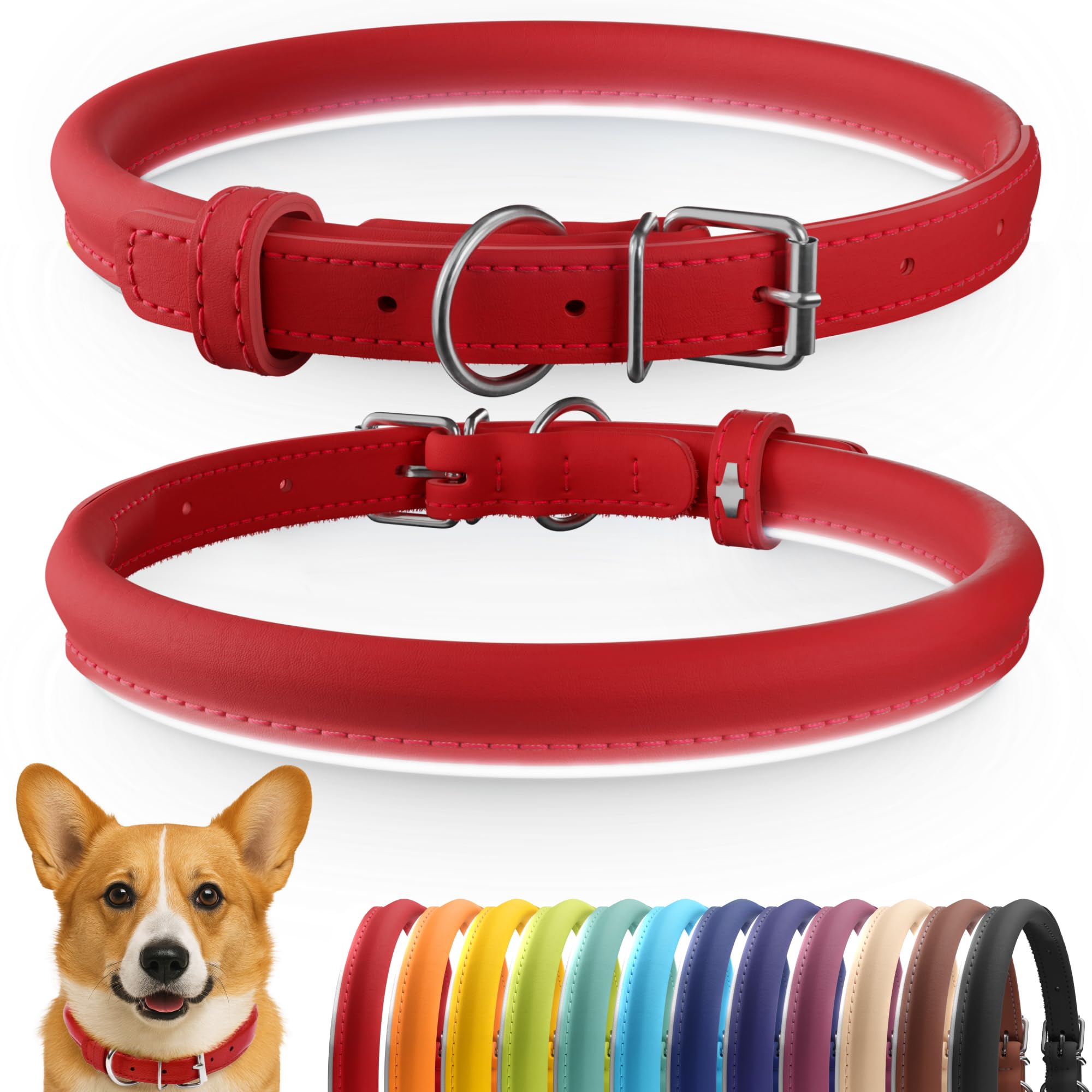 Photo 1 of CollarDirect Rolled Leather Dog Collar