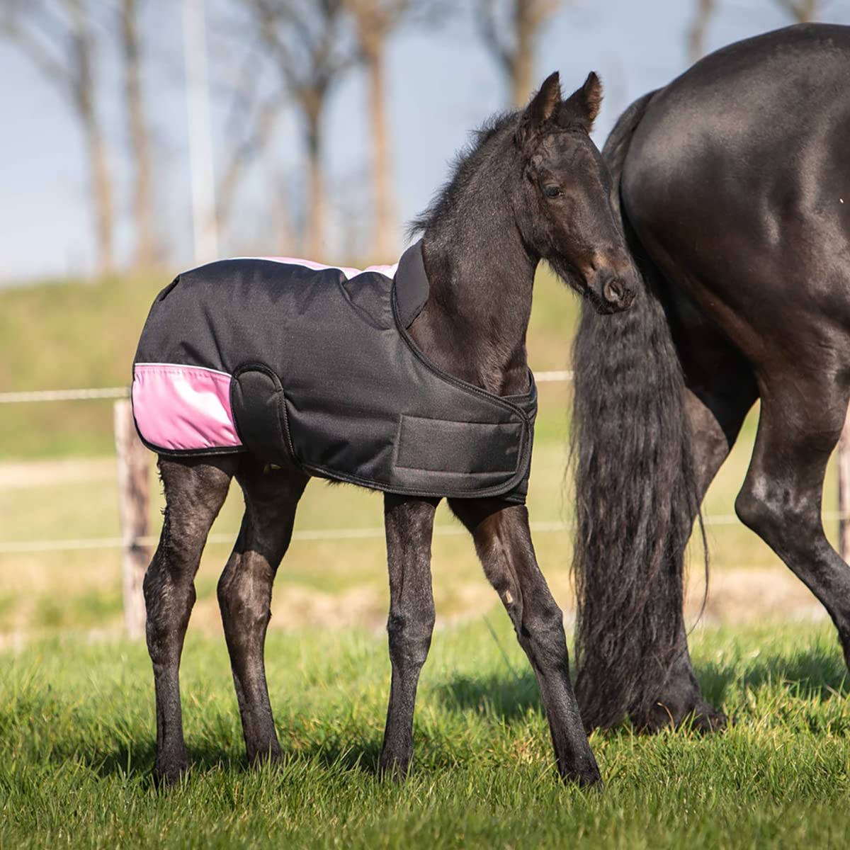Harrys Horse Fohlendecke Two Tone schwarz