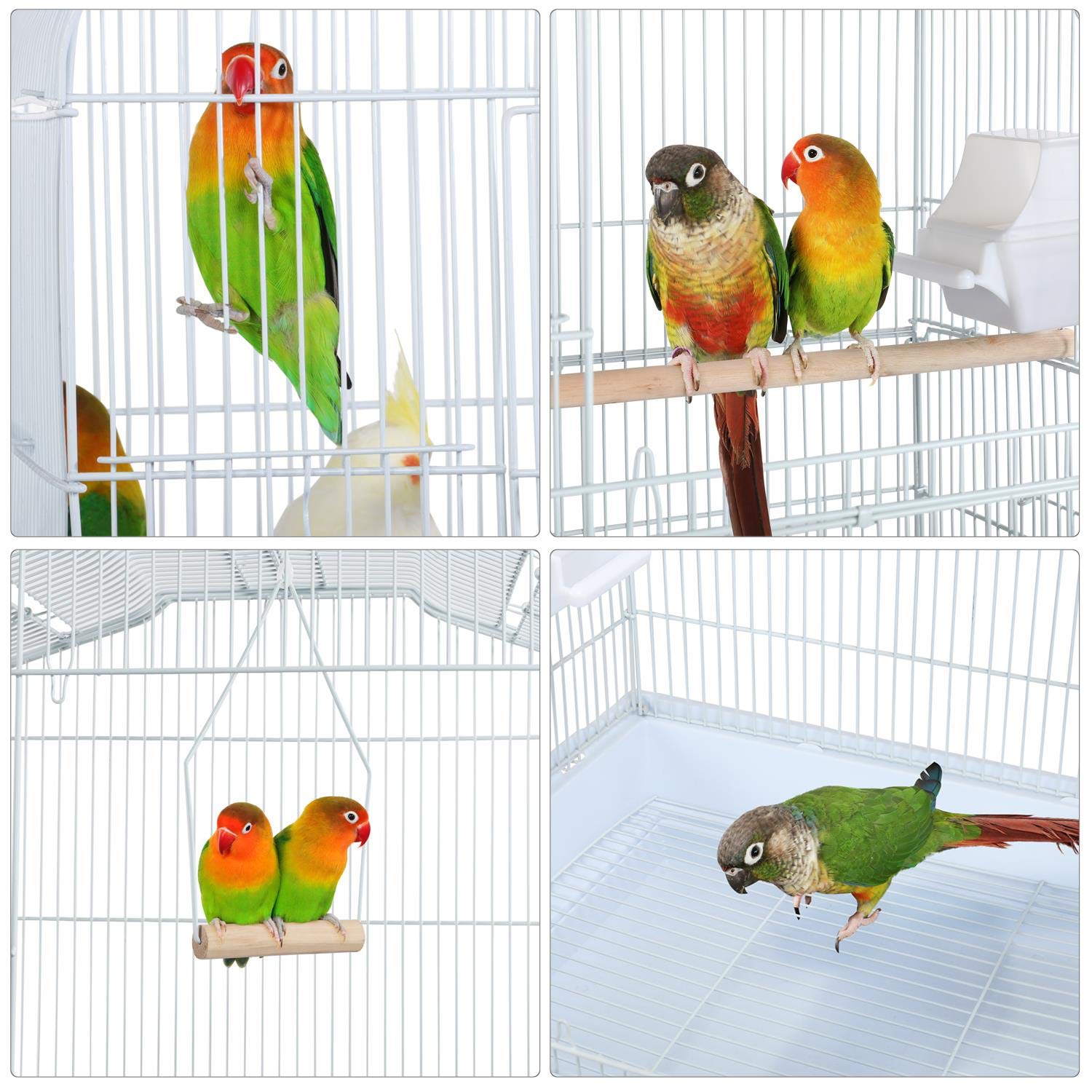 Gallery image with a fresh perspective