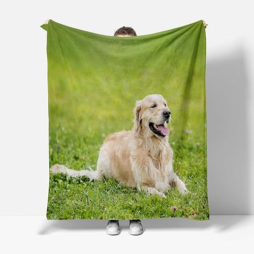 Miniatura 6 de Manta de forro polar Animal-Labrador Retriever para sofá, cama y sofá (60 x 80 pulgadas), ultra suave, ligera y acogedora, no se desprende pelusa,