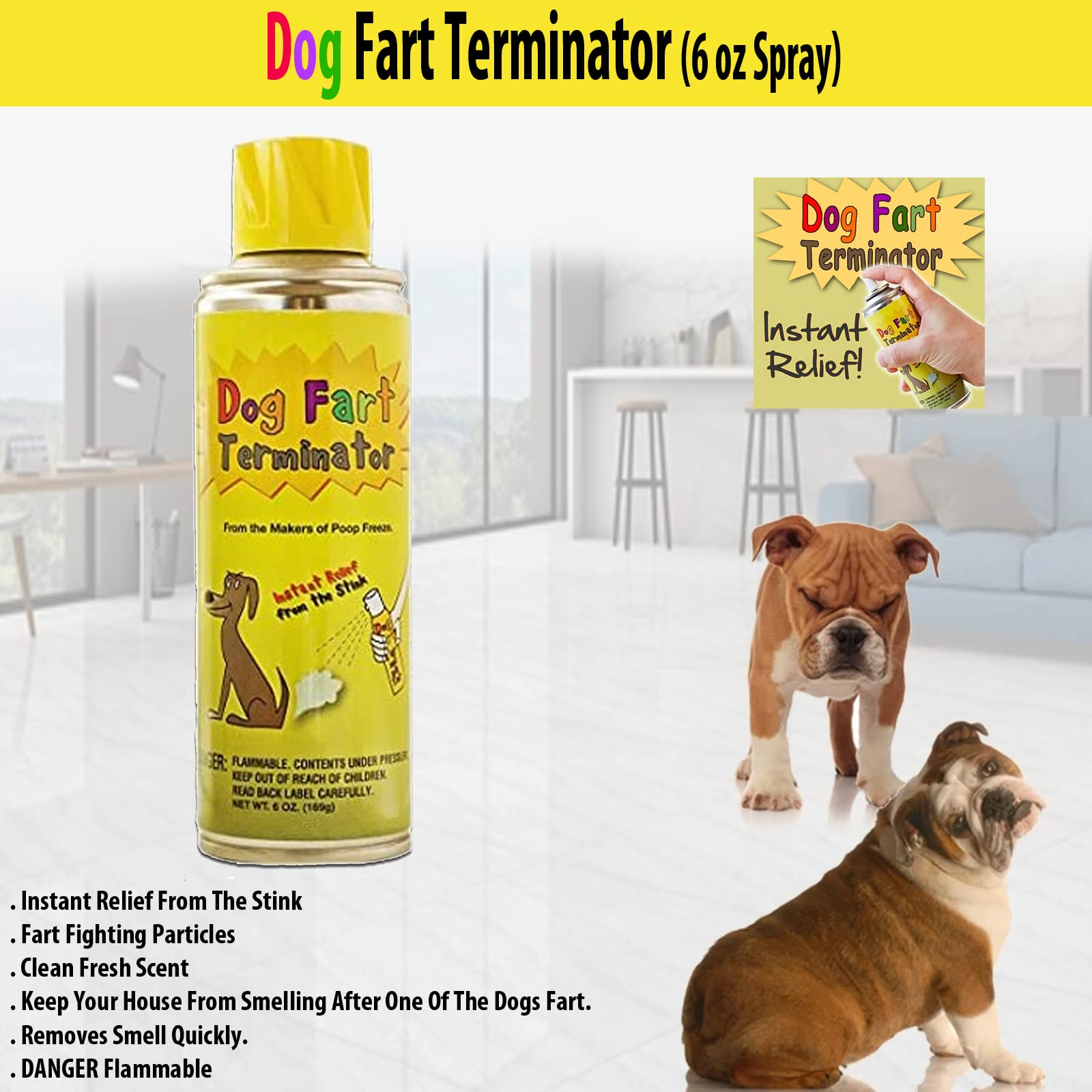 Do Dogs Know If They Fart