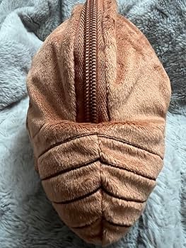 Amazon.co.jp: 昆虫MANIAC マニアック セミの抜け殻からセミ