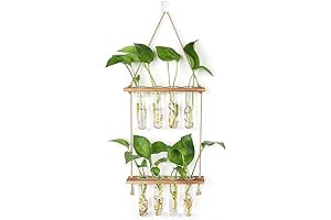 Wall Hanging Planter Terrarium 2 Tier Test Tube Vase Glass Planter Plant Propagation Station