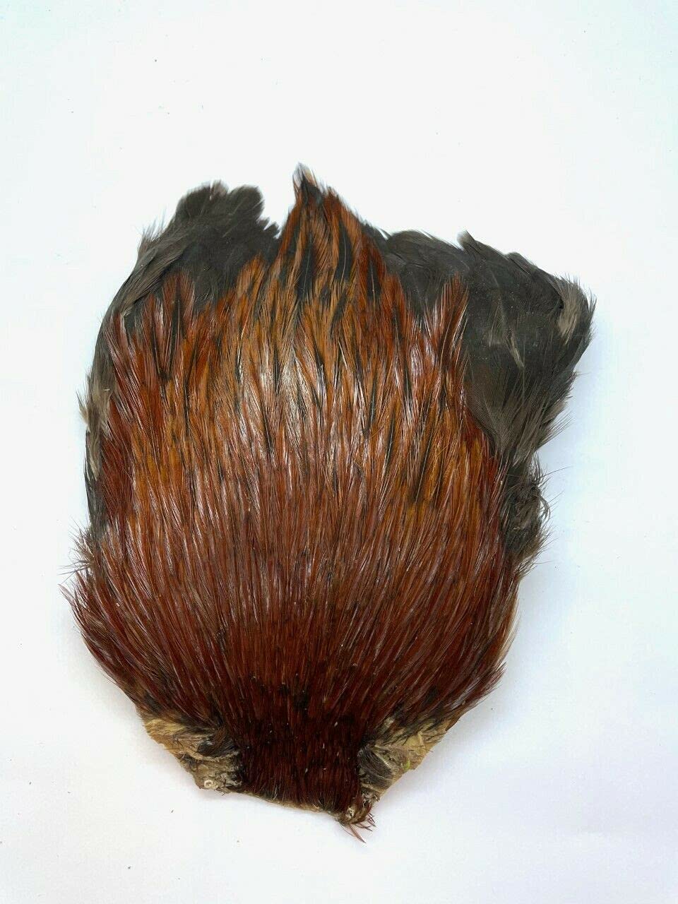 Olax COCK CAPES IN NATURAL COLOURS, FLY FISHING, FLY TYING, ARTS & CRAFT (Brown) TOP OF THE RANGE