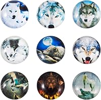 Vista 15 de Craftdady Cabujones de cristal impresos con piel de animal, 0.472 in, media redonda, parte trasera plana, cabujones de cúpula de cristal