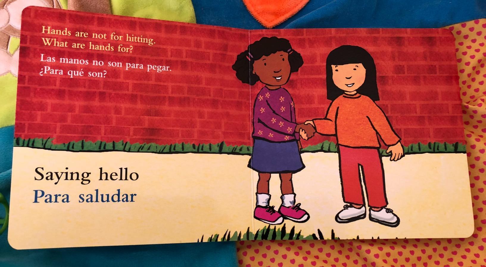 Hands Are Not for Hitting / Las manos no son para pegar Board Book