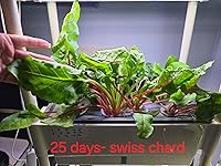 Review Image by Richard Gallant Richard Gallant