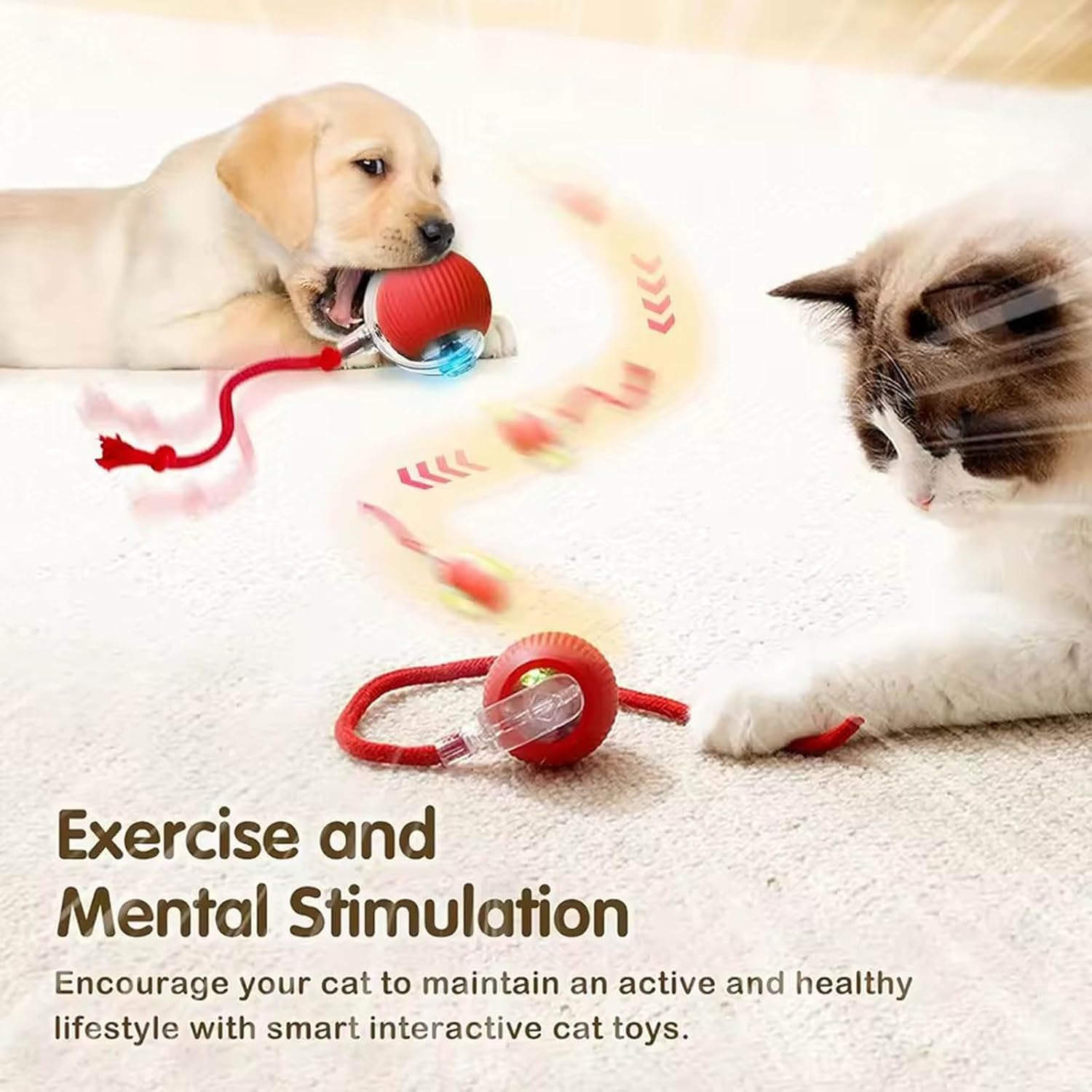 JinRui-T 2 PCS Active Rolling Ball with Tail for Dogs,Chewie Rollie Pet Smart Chase Ball, Interactive Smart Cat Toy PetBall - Image 4