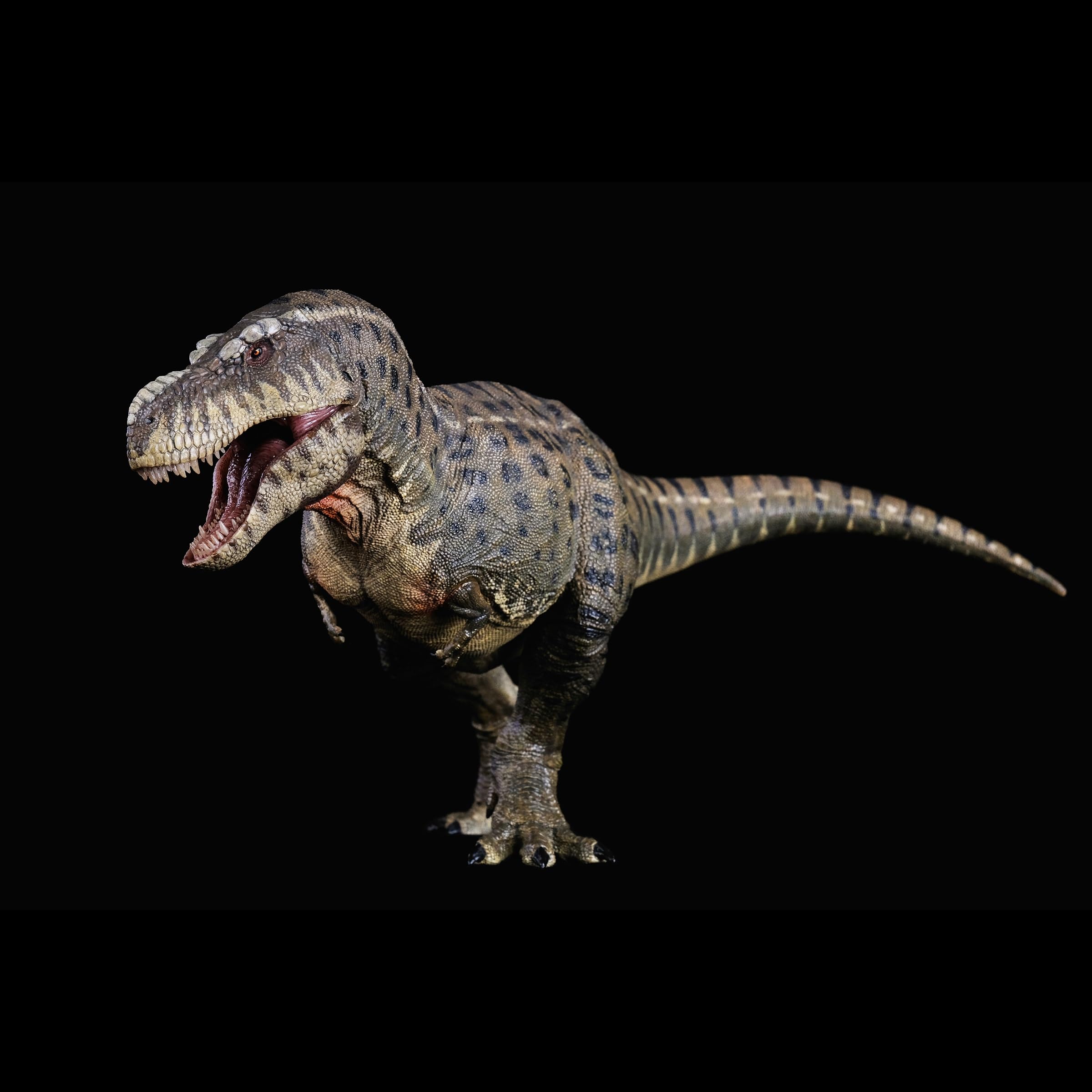 Amazon.com: XINPANYIAN Tyrannosaurus Rex Dinosaur Model, 1:35