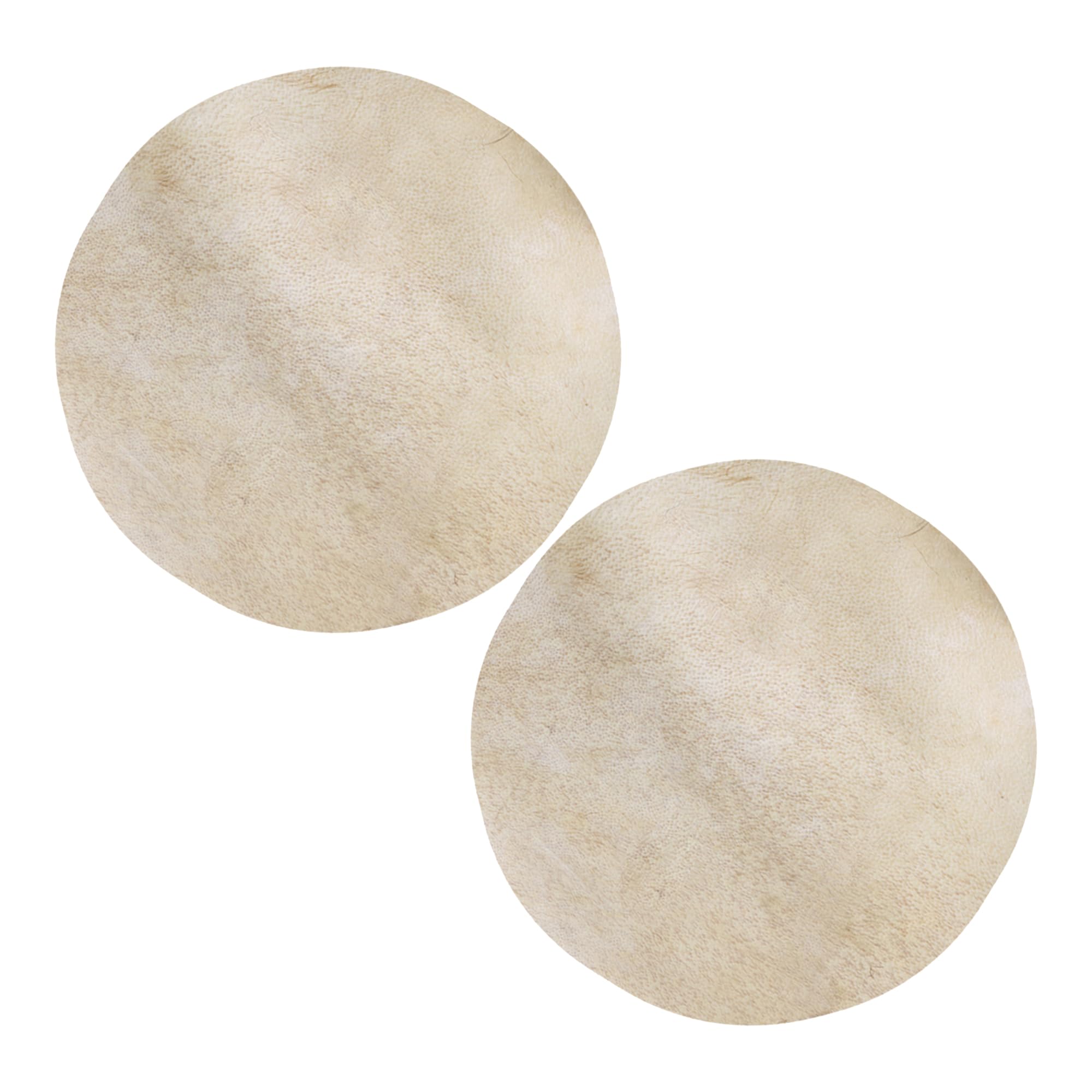 Lot de 2 Tambourins Professionnels 8" pour Percussion Diamètre 300mm