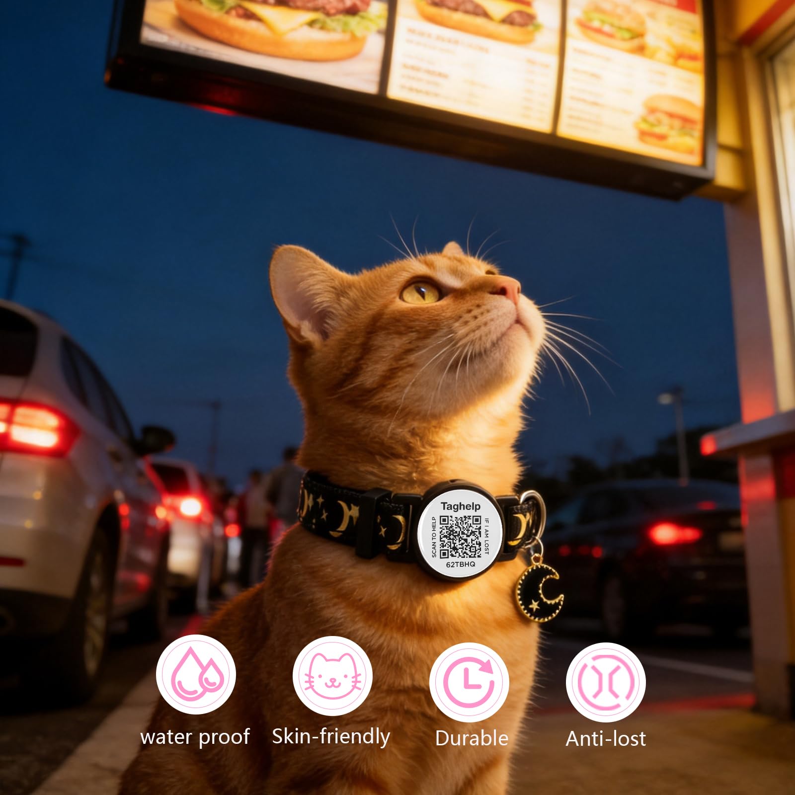 Collares de seguridad sólidos y seguros para gatitos con etiqueta de identificación QR para gatos y niñas, collar de mascotas, collar de gato, silencioso, ligero y duradero con código QR (negro y
