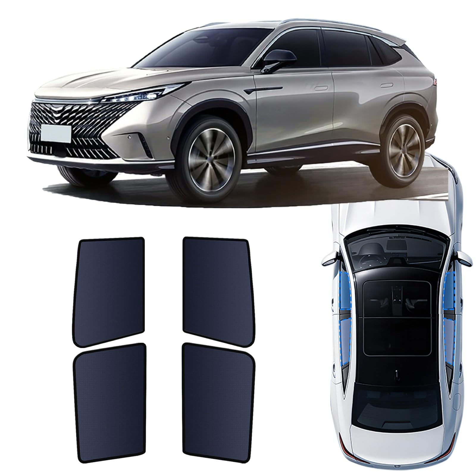 Rideaux magnétiques Roewe RX5 2023-2026 protection solaire pliable