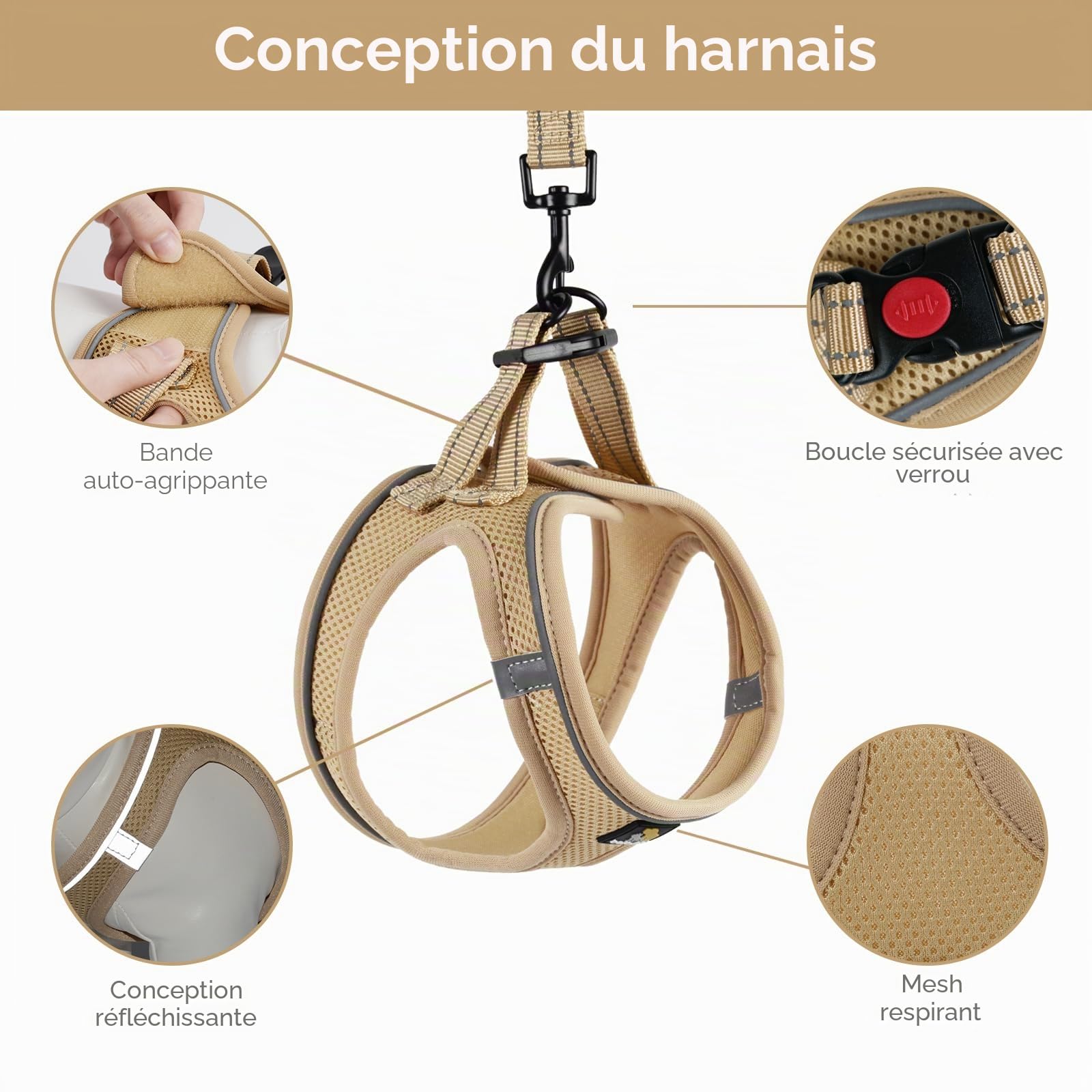 BELLA & PAL Harnais Anti-Traction pour Petit Chien et Chiot avec Laisse, Ajustable Sans Étranglement, Maille Aérée, Bande Réfléchissante, Kaki, Taille S