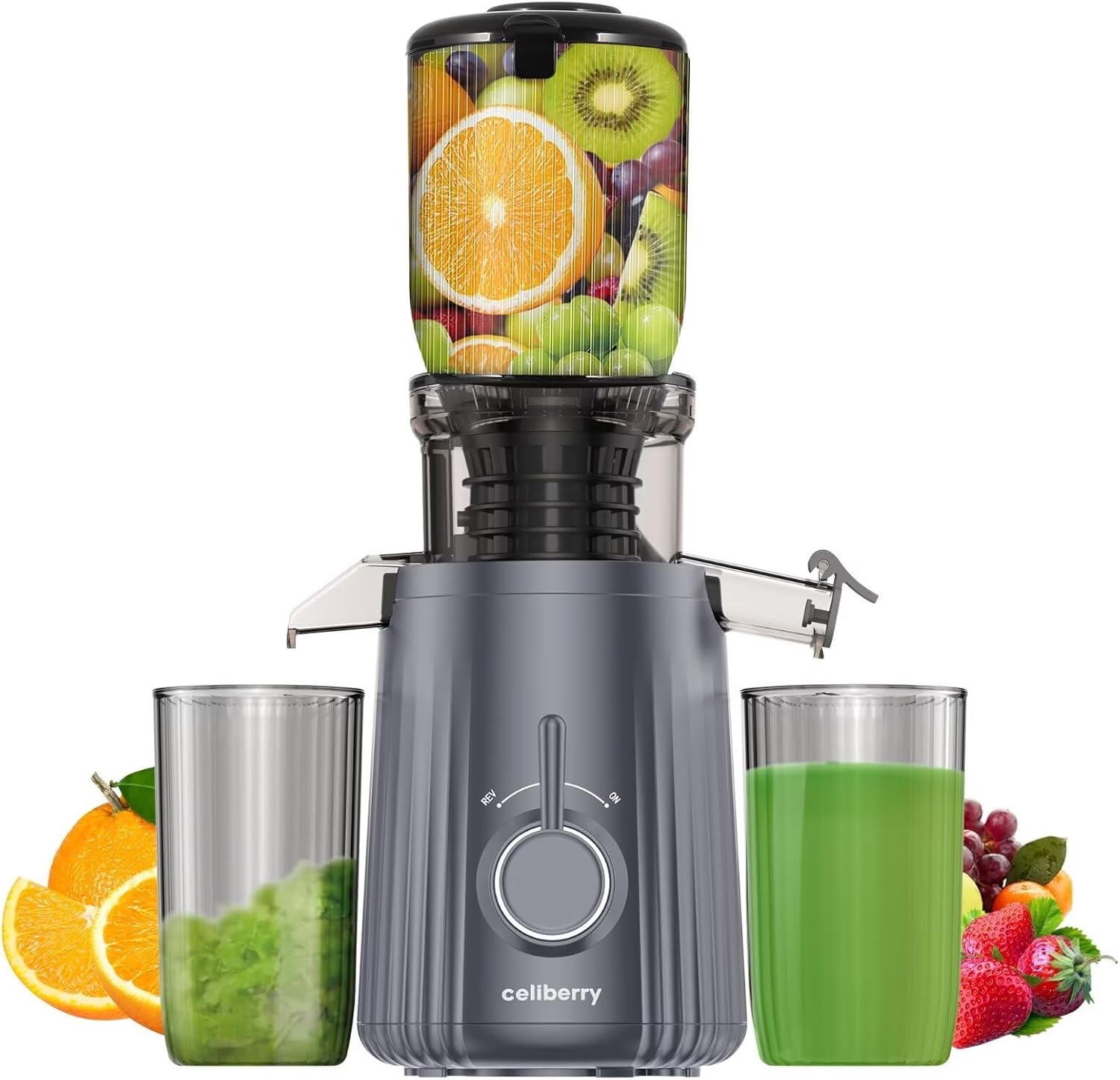 Cold Press Juicer Machine, Slow Masticating Juicer Ecuador Ubuy
