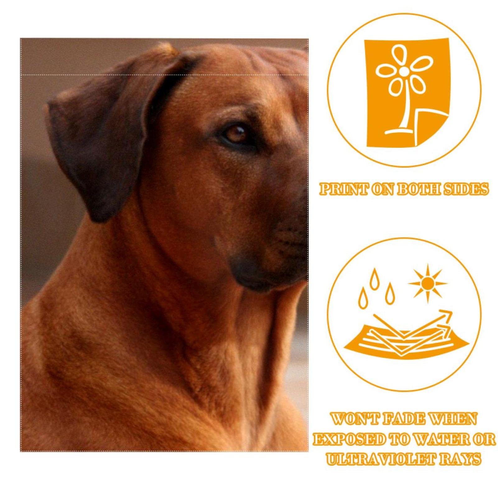 Copertura Per Porta Esterna Divertente A Forma Di Cane Rhodesian Ridgeback – 91x182 Cm, Per Ciclismo E Sport, Decorazione Casa