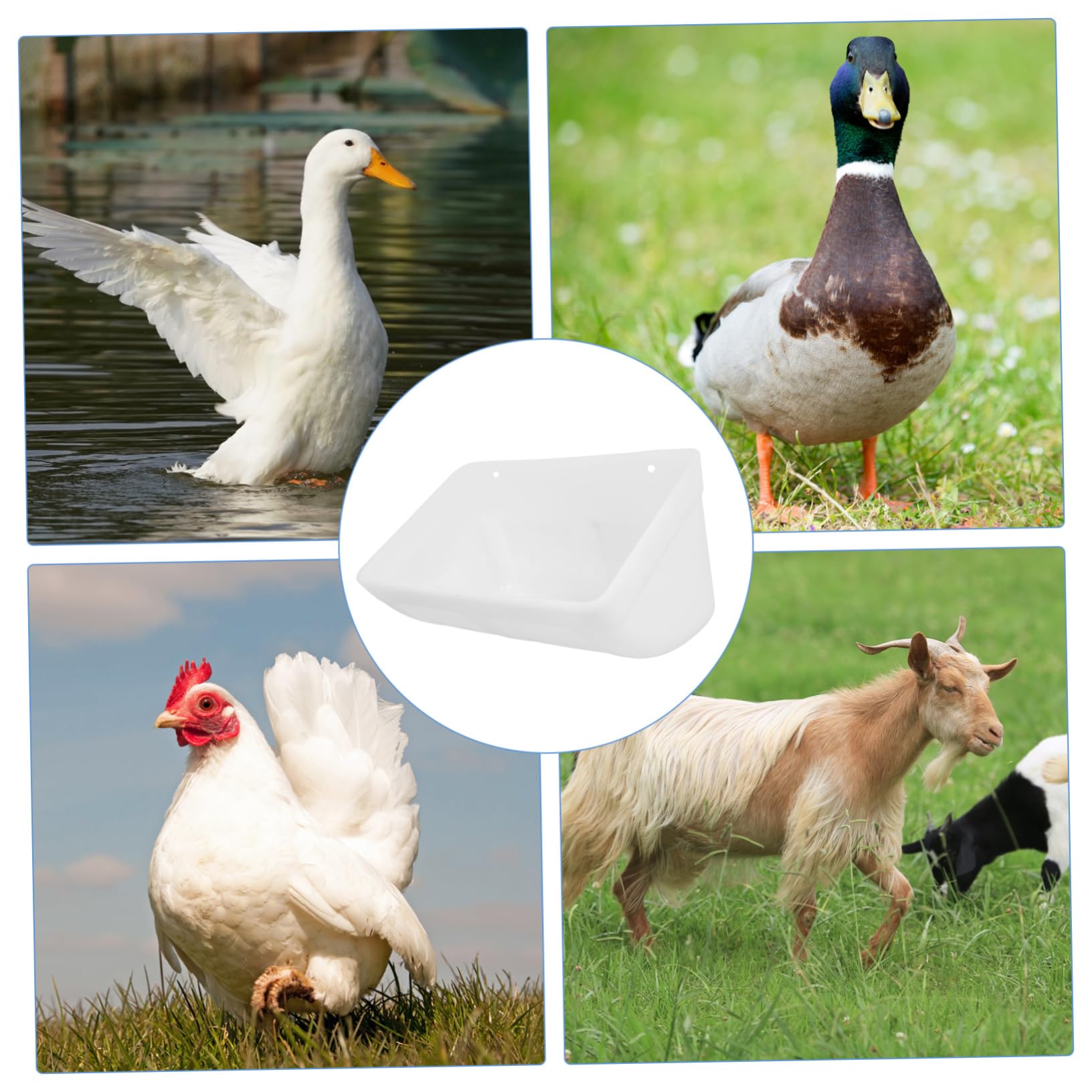 BESPORTBLE 2 Juegos Comedero Automático para Pollos de Contenedor de Alimentación Colgante para Aves de Corral de Limpiar y Práctico Material Ligero y Sanitario