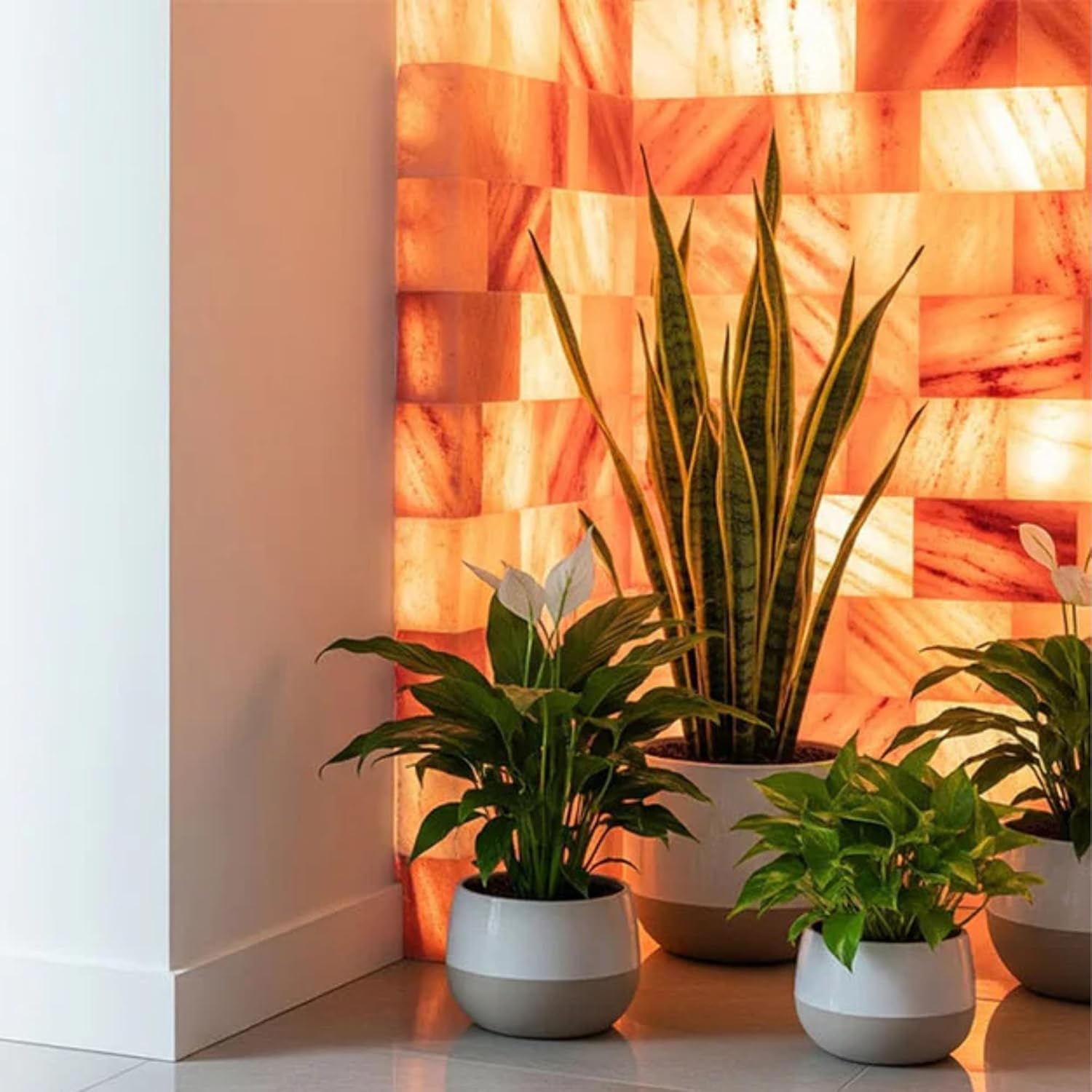 Himalayan Salt Tiles 8x4x1 for Salt Room Walls – Premium Pink Salt Blocks to Build Spa, Sauna, or Wellness Center – Natural Himalayan Salt Brick Panels – Multiple Pack for Custom Installations (10)