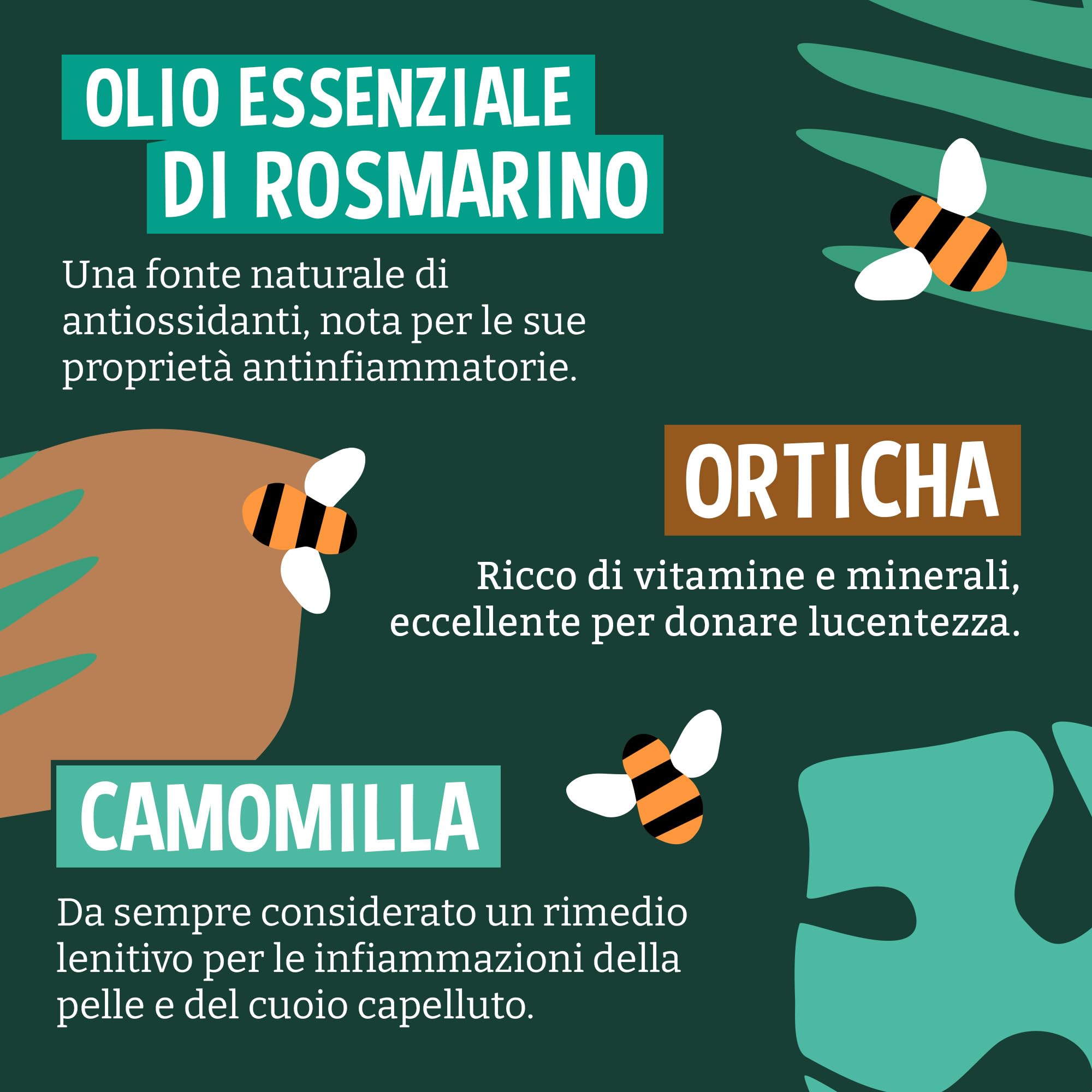 Faith In Nature Ricarica da 5 L di Shampoo Biologico al Cocco, Idratante per Capelli e Cuoio Capelluto Secchi, Vegano e Cruelty Free, Senza SLS, Siliconi o Parabeni