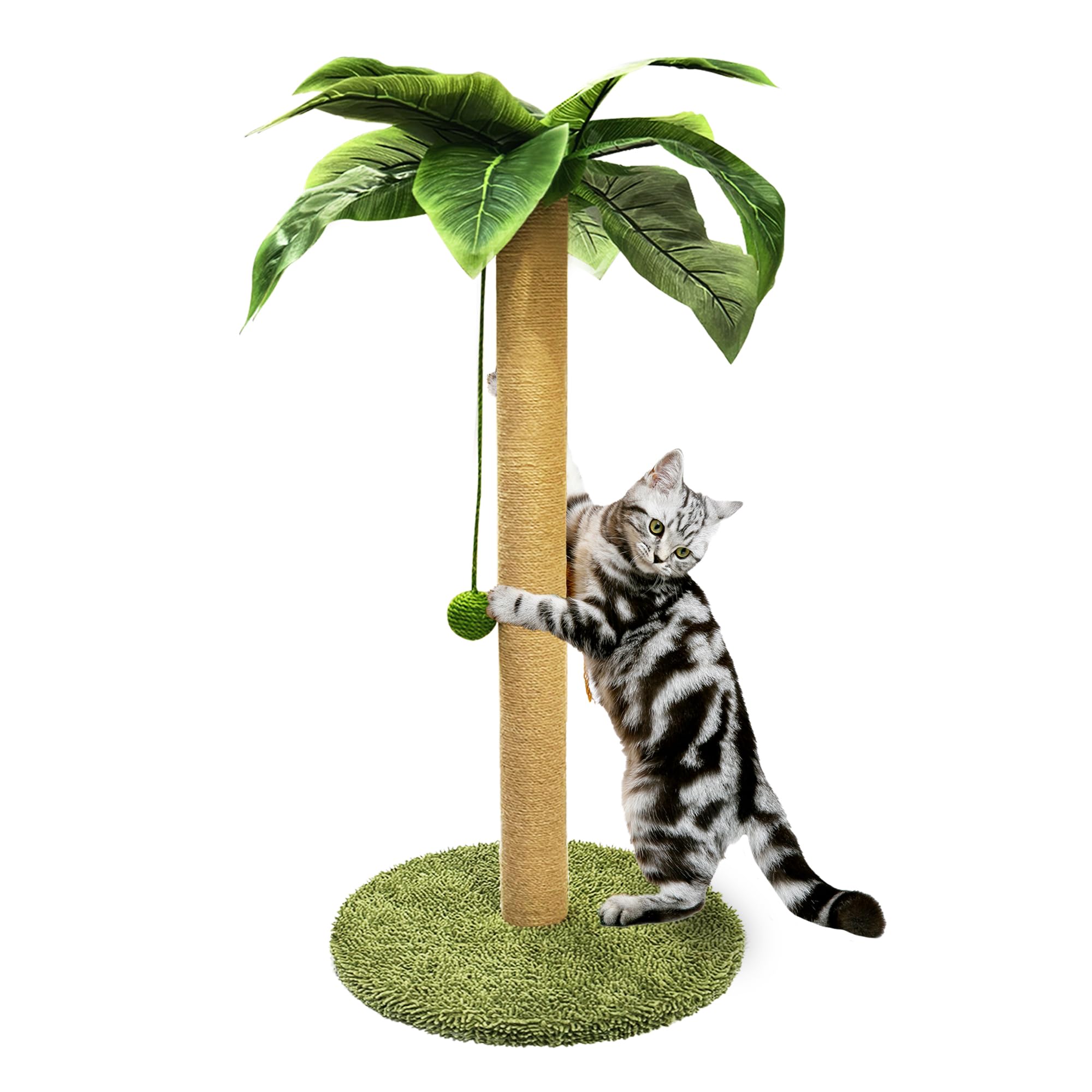 PETKARAY Cat Scratching Post, 36" Tall Palm Tree Cat Scratching Post, Sisal Cat Scratcher with Toy Ball for Indoor Kittens, Large Size