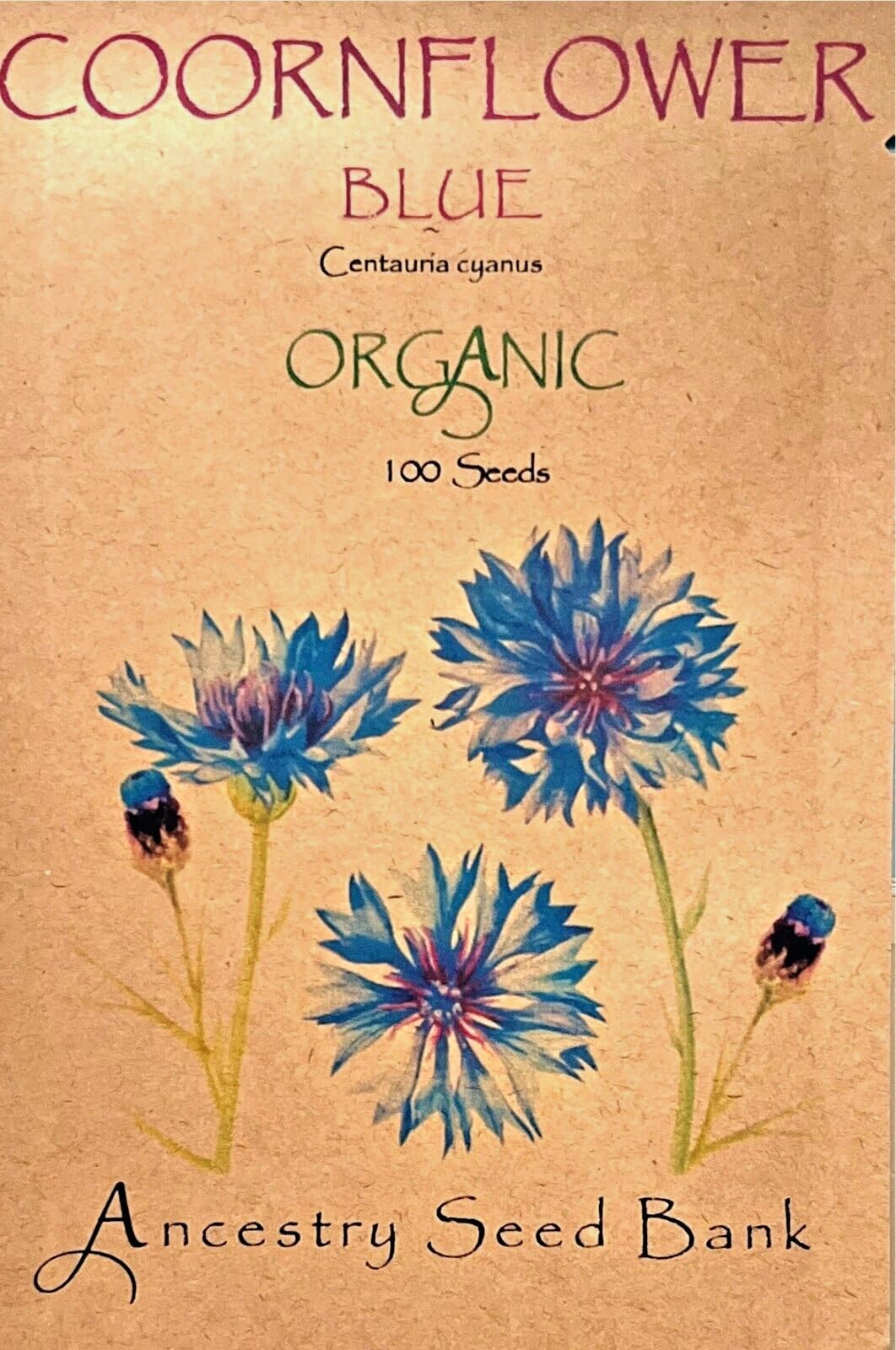 Organic Cornflower ❁ Blue ❁ 100 Seeds Heirloom Flowers - Non GMO