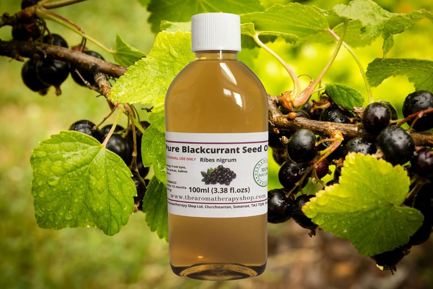 Pure Blackcurrant Seed Oil (100ml (3.38 fl.ozs)) Amazon.co.uk Health