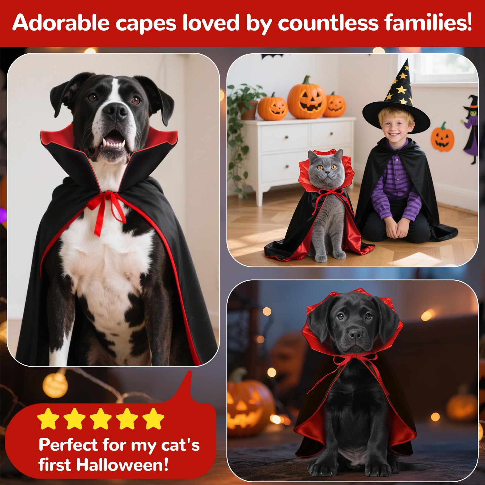 HSSPYY Halloween Pet Vampire Cape Adjustable Red & Black Fancy Dress for Cats & Small Dogs (Yorkshire Terrier - Image 4