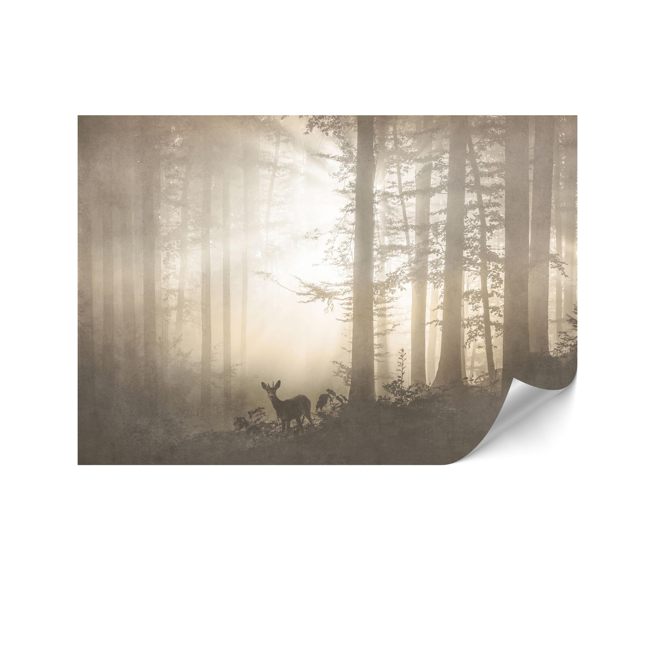 Fototapeta premium z włókniny do salonu 400 x 280 cm zwierzęta
