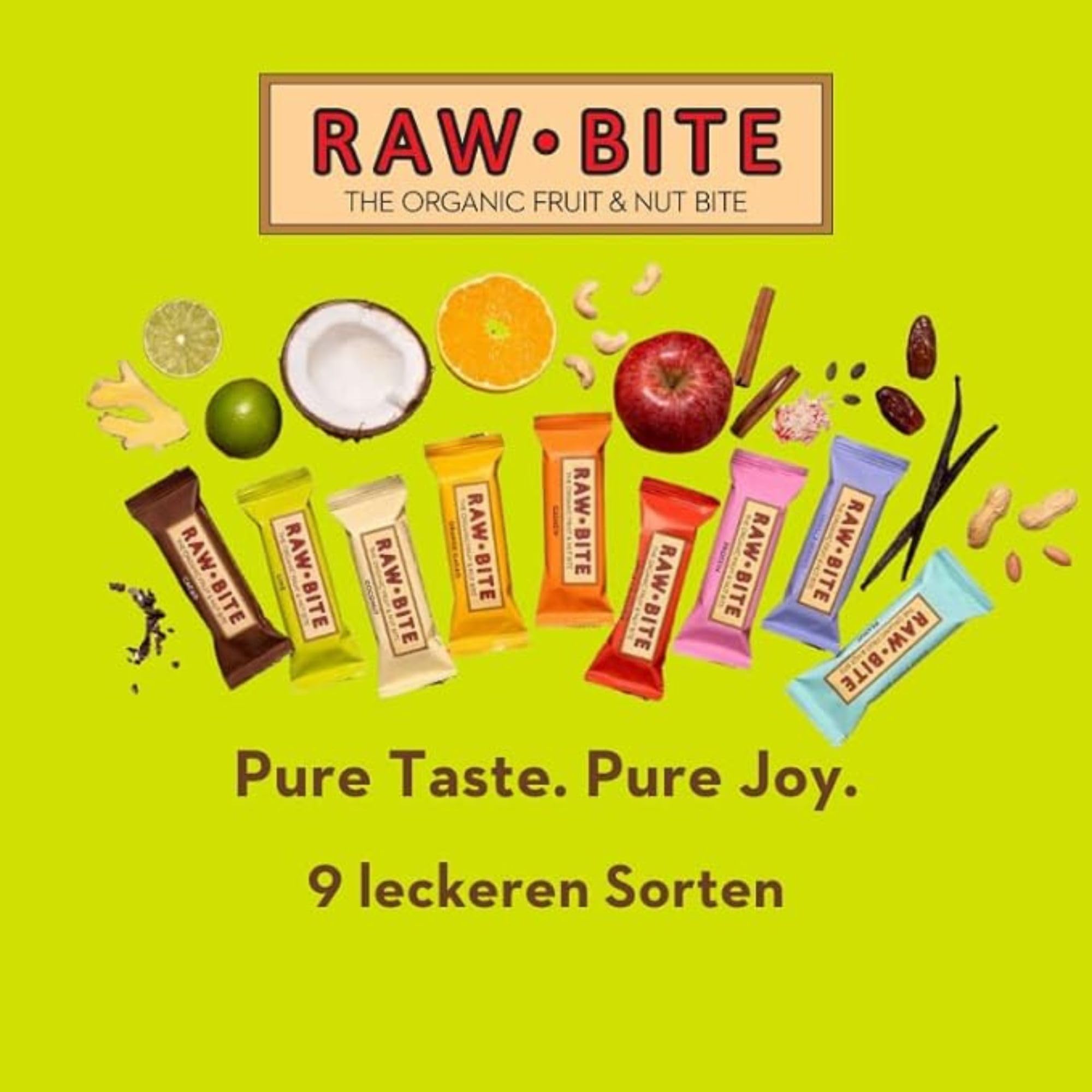 RAWBITE LIME in der 12er Box - Vegan, glutenfrei & ohne Zuckerzusatz - Bio Frucht-Nuss-Riegel mit Limettensaft (12 x 50 g)